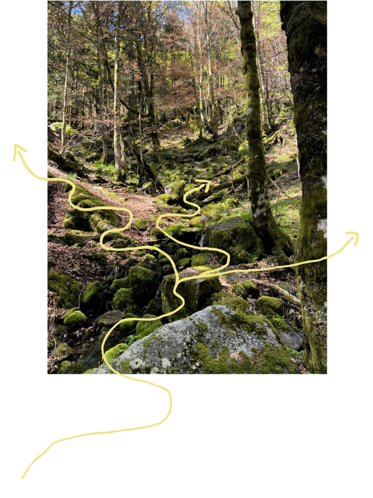 Pad bedekt met stenen en mos, met drie kronkelige pijlen die verschillende routes aangeven. Het pad loopt omhoog, als een visuele metafoor voor 'het juiste pad kiezen' en 'steeds een stap zetten'.